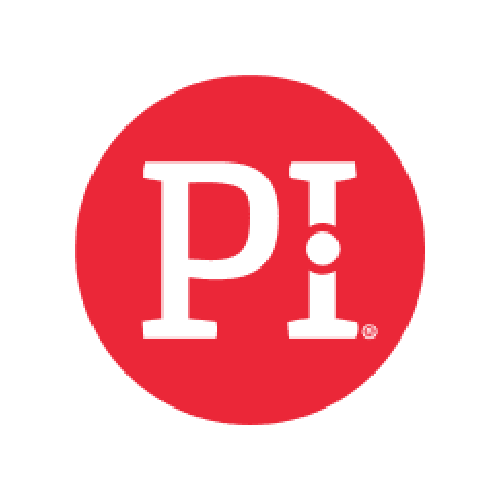 The Predictive Index Logo
