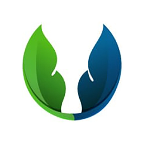 VeganNation Logo