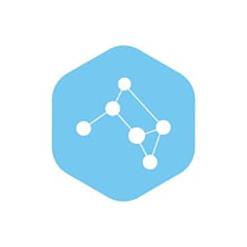 Vic.ai Logo