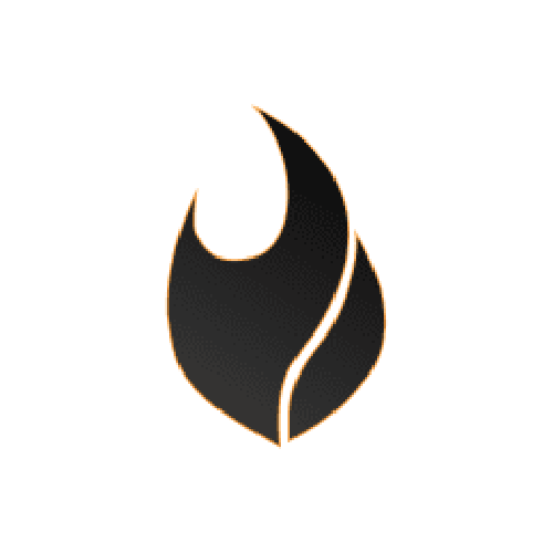 Fyre Logo