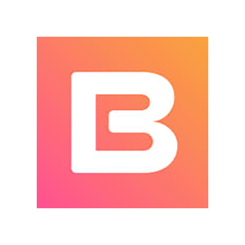 BRD Logo